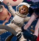 Mutumbo_OG's tweet photo. wtf is mooncat we're in monkey meta  
Pf gave us Moonkey that was never done so it could run on @moonshot and @NewsyJohnson loves monkeys https://t.co/8OttLj115E