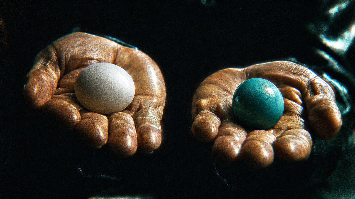 EggOnHyper's tweet photo. You take the normal egg, and life stays safe and ordinary. 

Or

You take the Hyperliquid egg and see how far greatness goes. https://t.co/TFrASf5Dz1