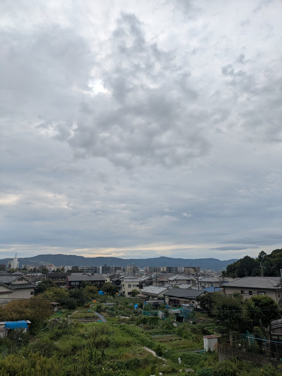 hennara5's tweet photo. 朝散歩 2026.8.29
#朝散歩 https://t.co/yjPss7wotL