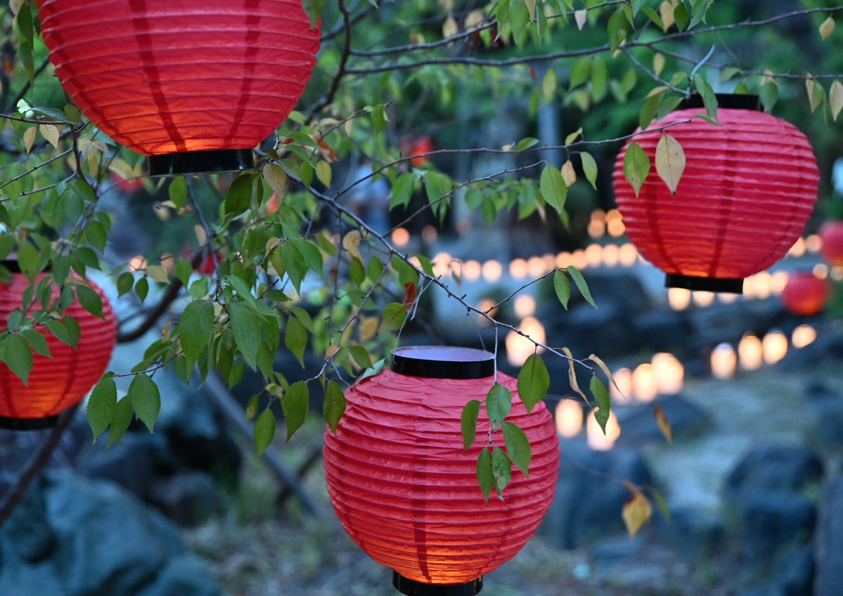 tada_cb1000's tweet photo. 今週火曜日の夜に地元の神社でライトアップのイベントがあり撮影してきました! まだ夕陽が少しある状況の写真です!  提灯と蝋燭(ろうそく）の組み合わせが綺麗です! #刈谷市  #市原神社　#千灯の宵 https://t.co/EITfoGLtnf
