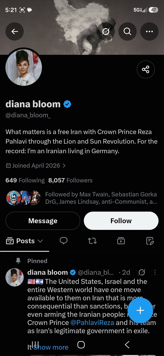 ChrisNotes2024's tweet photo. @evikokalari @PahlaviReza Some of Diana Bloom's followers. You'll notice the same conspicuous checkmarks astroturfing thousands of these Israel-First bots/nobodies. https://t.co/agA8TWAMr7