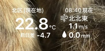 vr_mikawa's tweet photo. 【本当に8月？】
……えっ！？ https://t.co/x5IgyUq0JB