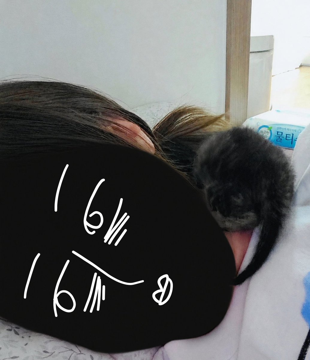 sanggye_zzang's tweet photo. 냥집���들 냥줍초기랑 지금 비교사진 자랑하자 얼마나 잘키웠는지
일단 나부터

냥줍초기                                      오늘 https://t.co/kxLe8PfAHY