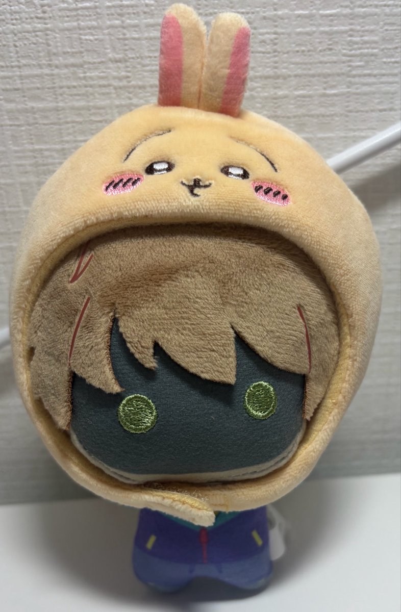 kumin_ksmsmr's tweet photo. ちびぐるみは結構パツパツだな https://t.co/6KGLp3aL00