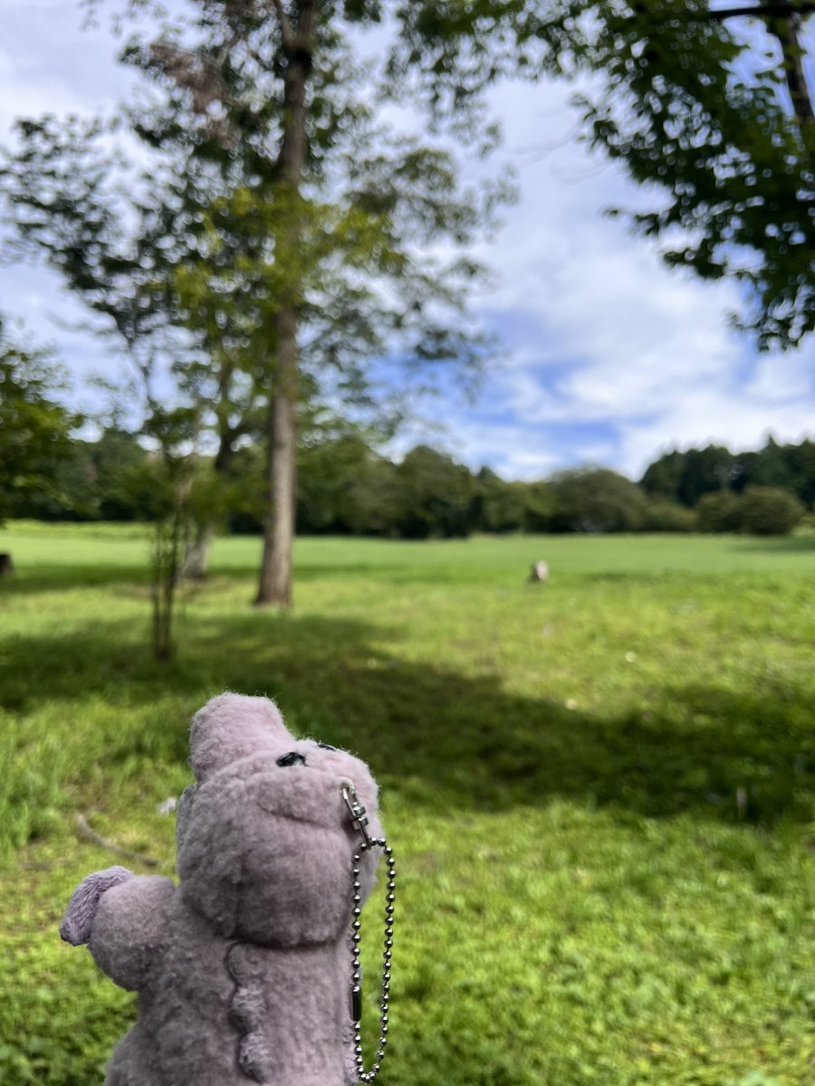 payapapu's tweet photo. ぱやっほー！！！！

#うちのワーリー 
#ワーリー 
#ワーリーフレンズ https://t.co/uXrVQPesoD