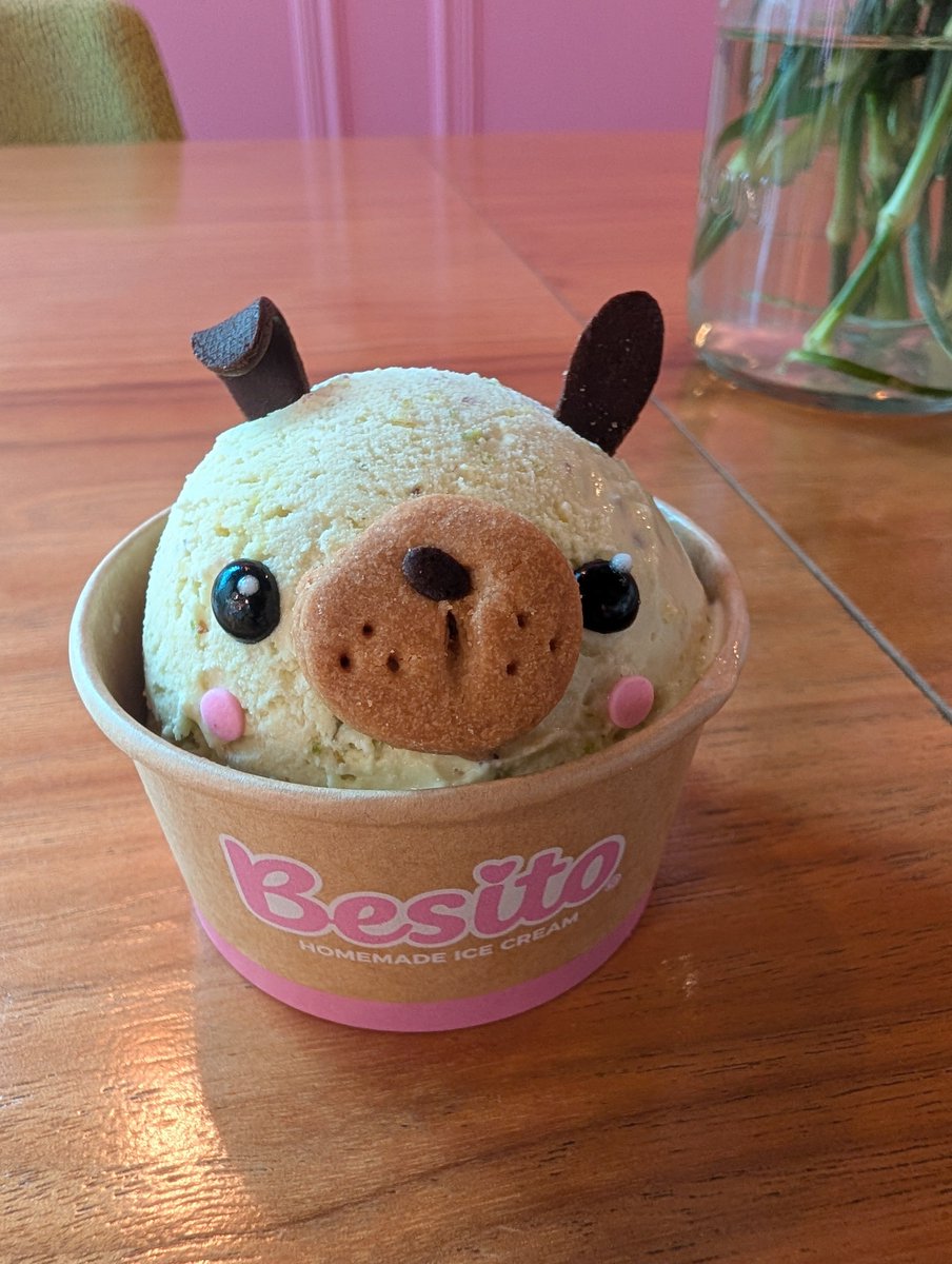 scorplingg's tweet photo. took myself on an ice cream d8 https://t.co/CvuTg9pIBK