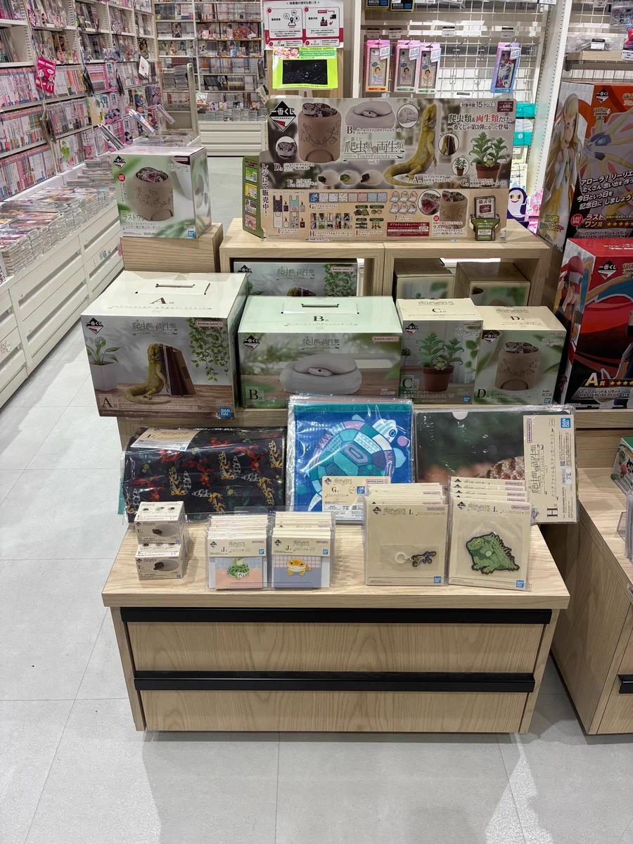 爬虫類用品　まとめ売り HMV＆BOOKS OKINAWA on X: 