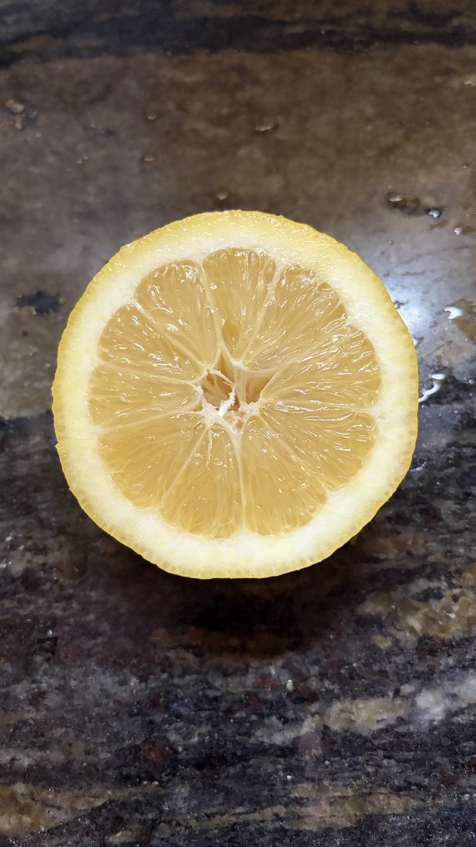 hostdpressioner's tweet photo. @lolutuki igual el limón era de la planta de ati Lo de la verdulería era bait jjio https://t.co/dg7Wjtmreq