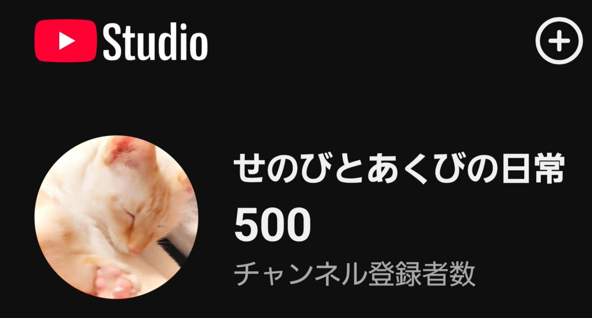 nagi6162's tweet photo. あくび「フフフ…✨️」
せのび「フフフ…✨️」
わたし「フフフ…✨️」 https://t.co/zB4FyXzdy5