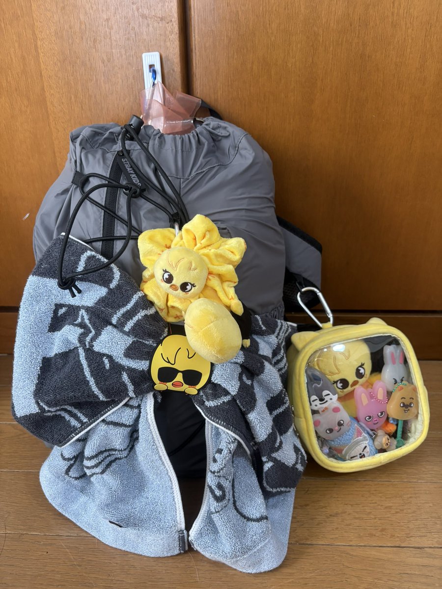 chipu__mino's tweet photo. いざ！お江戸へ💨
平安京だったとしても！
楽しむぞ〜
雨でkidsたちもstayの皆さんもケガしたり風邪をひいたりしませんように🙏
#StrayKids 
#StrayKids_Felix 
#ranit https://t.co/jVb7LQ0dlQ