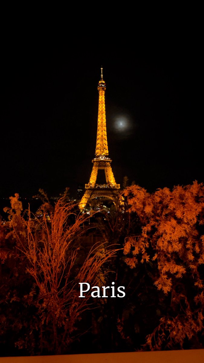 NDabaan's tweet photo. Paris❤️in Autum❤️

Magical, charming and joyful. 
#paris
#foliage
#full_moon https://t.co/rVWAigiv5l
