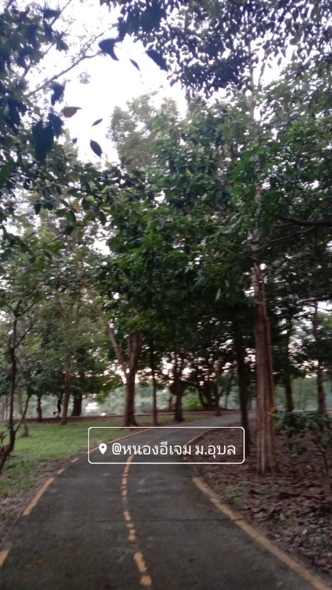 ssasibell's tweet photo. เอาดอร์ #มออุบล #อุบล https://t.co/dMWVN2zAY3
