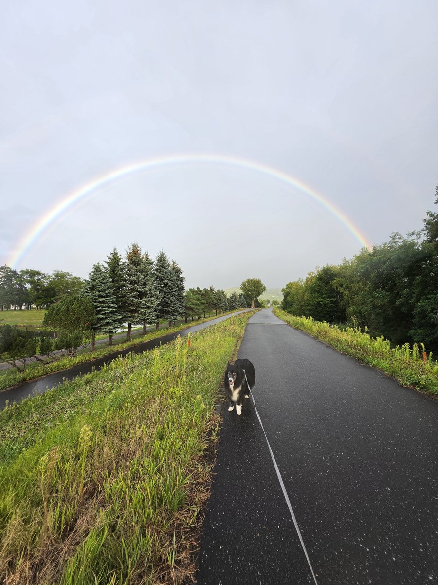 yu88004527's tweet photo. 雨でも良いことあるね🌈
#虹
#rainbow https://t.co/A7gpVQI0DV