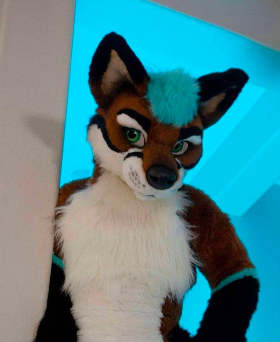 Kayrenwolf's tweet photo. @VedaValois Well hello https://t.co/ednVIaKBzU