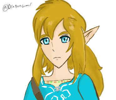 BlazingHylian's tweet photo. Breath of the Wild: Link 
#Zelda #tloz
#Nintendo https://t.co/6nSZadJTRv