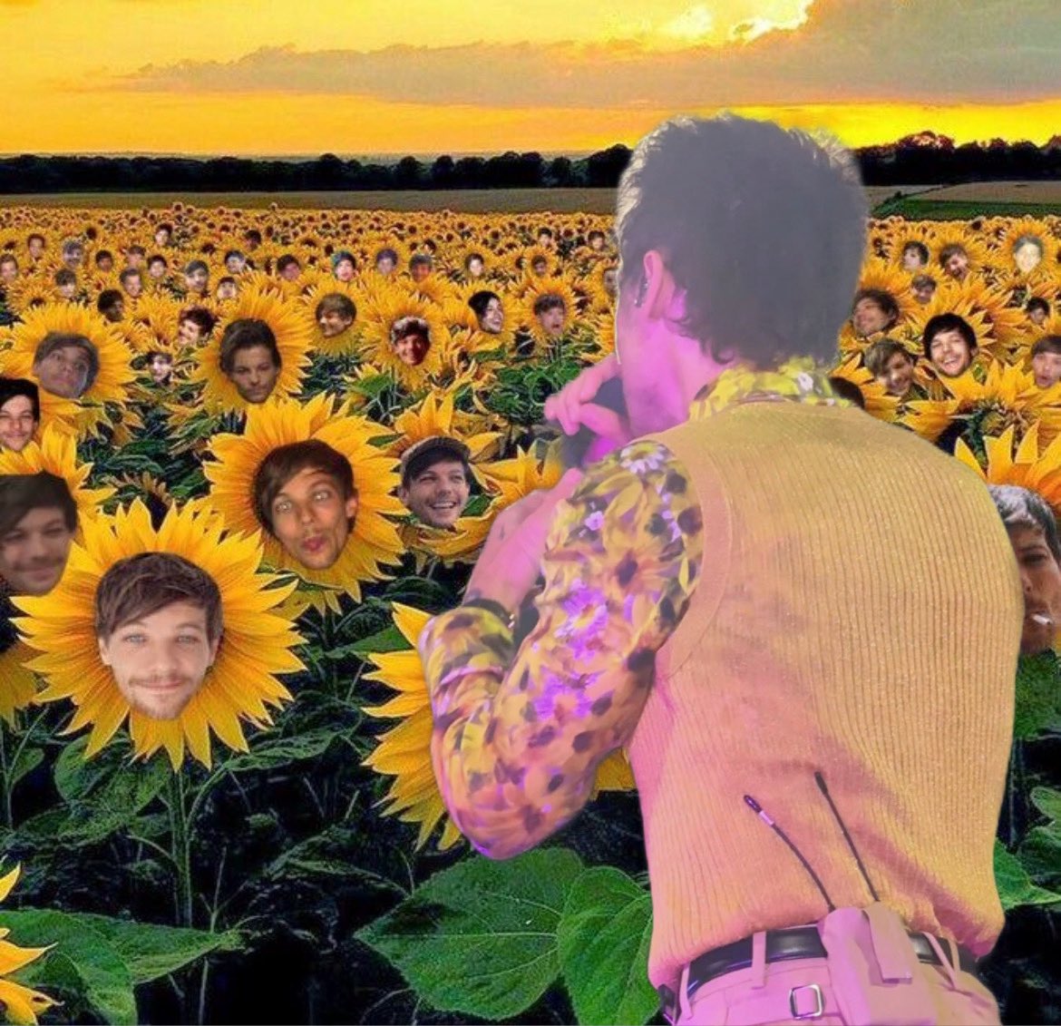 veelinson's tweet photo. he took him where are all the sunflowers are hiding https://t.co/BAWPlINVG5