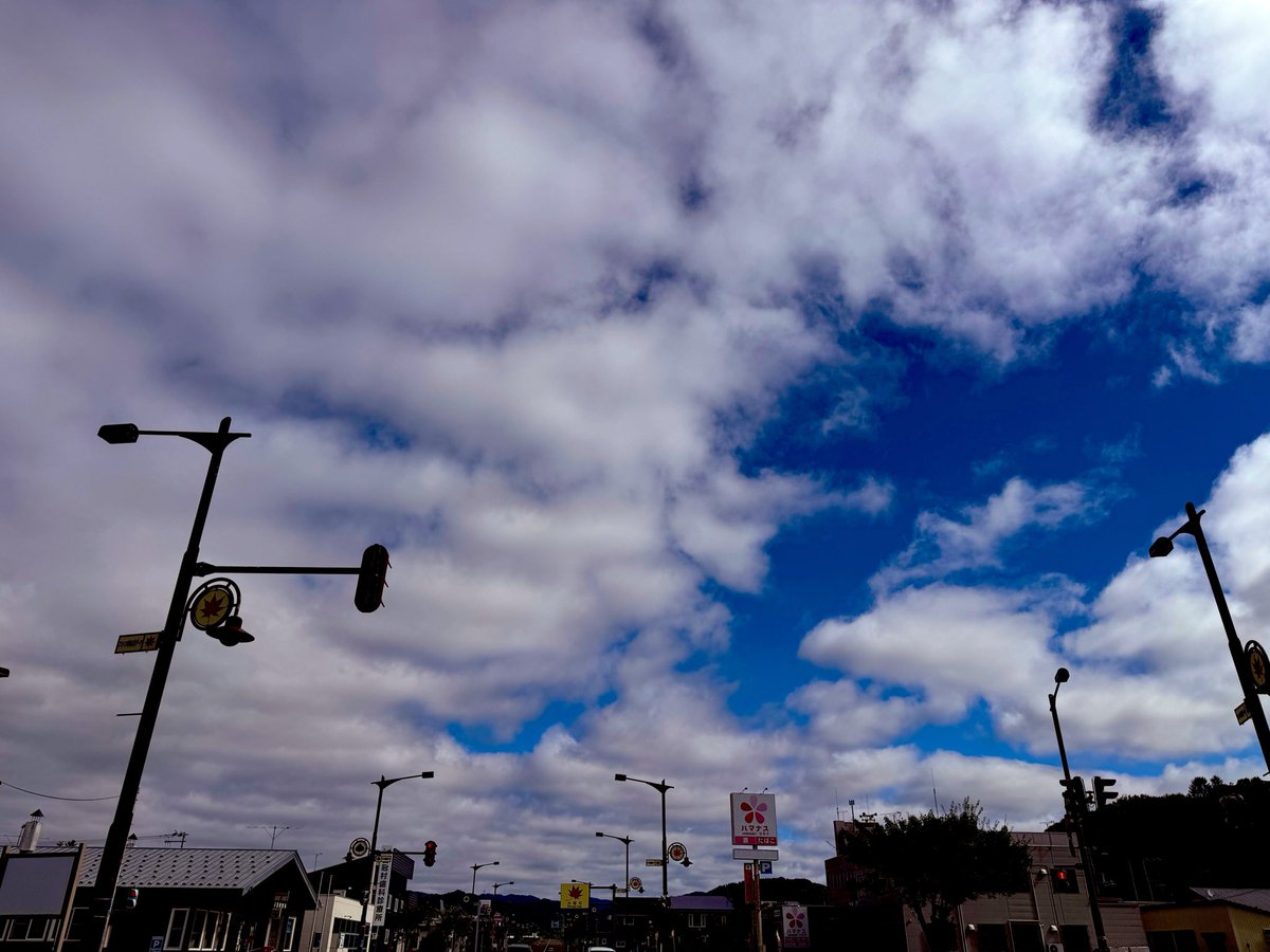shimukappi's tweet photo. こんにちはだぴー！今朝の占冠は清々しい青空広がるいいお天気だぴー☀️✨️ドライブ日和だぴー🔆🚗 ³₃占冠の道の駅内は青肉メロン（キングメルティ）の甘ーい香りが漂ってるぴー（🍈•᎑•🍈）💕今が食べ頃、旬のお味を楽しんでぴー( 'ч' )ŧ‹”ŧ‹”🍈 https://t.co/uipRxHWRFl