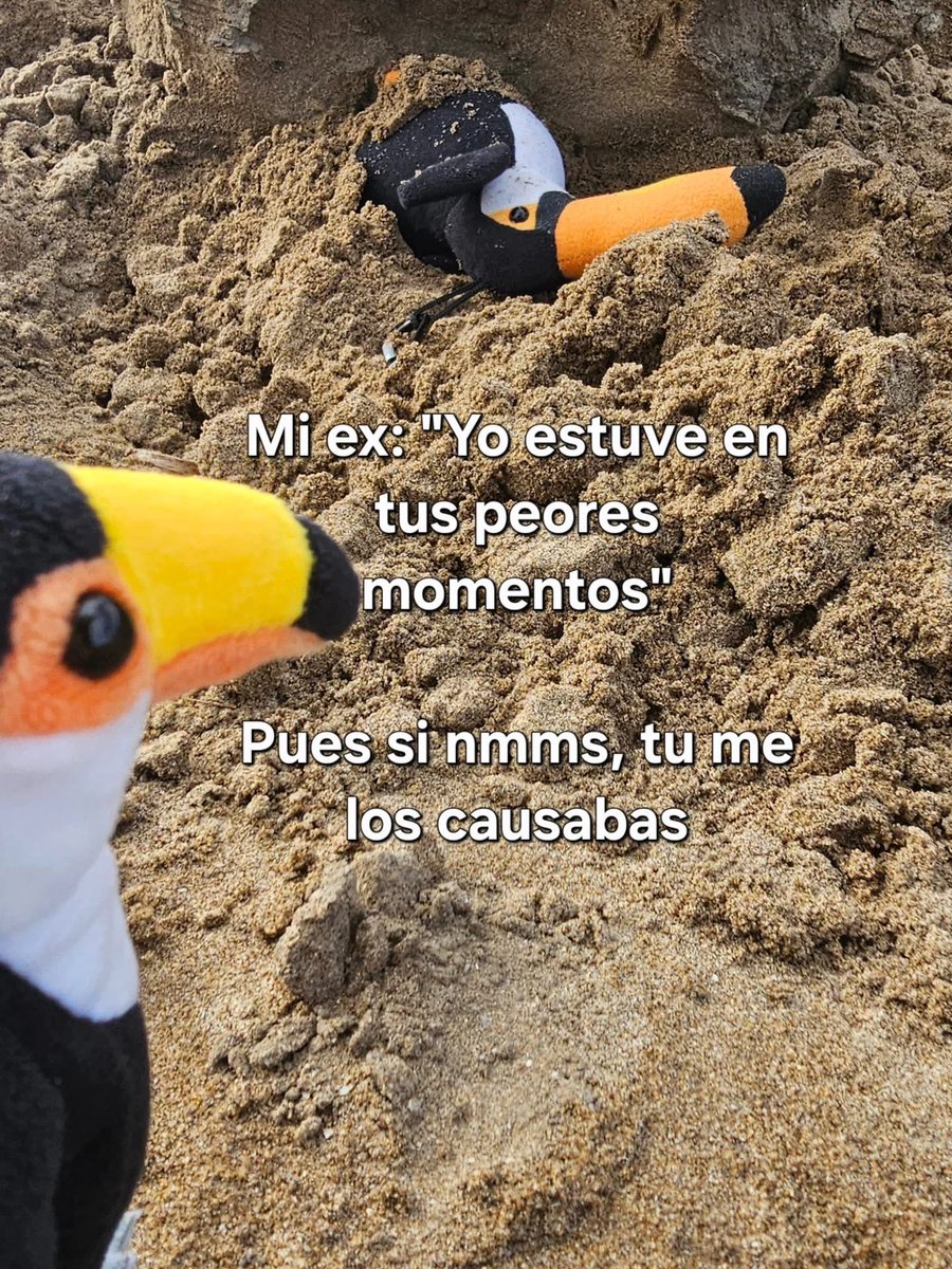 El_Peludote's tweet photo. 🤣 https://t.co/n3WlSv14y4