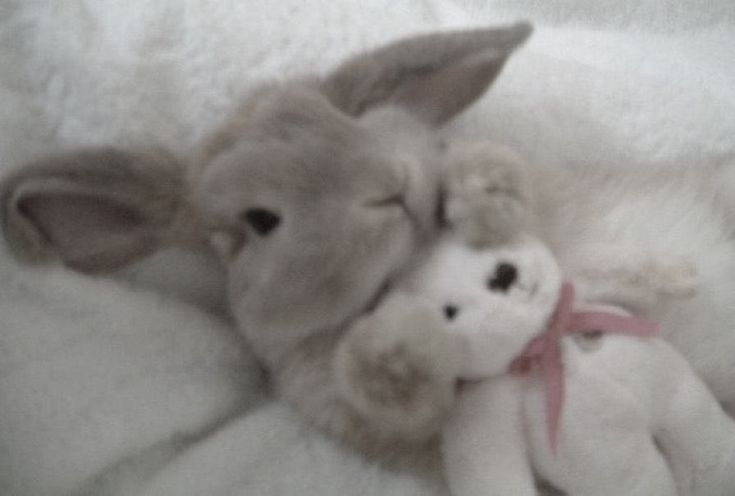 dependsnt's tweet photo. sleepy zzz.. https://t.co/OvwtWd0AnH