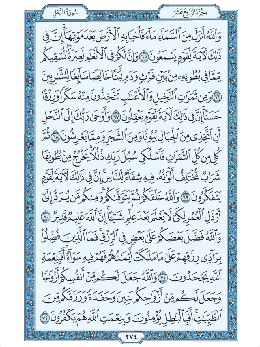 Holy_Quran4's tweet photo. صفحة من القران يومياً
كفيلة بأن تبعدك عن هجره 
واتكفل انا بتنزيلها يوميا إن شاء الله 
الصفحة رقم ٢٧٤ https://t.co/Hz9gsdinTg