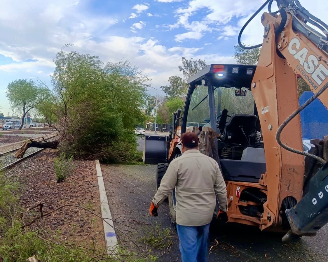 GobiernoMxl's tweet photo. ⚠️ P R E C A U C I Ó N
Trabajamos en el retiro de árboles caídos en distintos puntos de la ciudad. Reporta cualquier situación al 911 y toma precauciones.🌳🚨
#UniendoEsfuerzos
#GobiernoDeMexicali https://t.co/g3Z44rpQkn