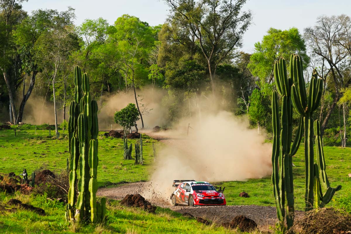en_toyota's tweet photo. Rally del Paraguay: Day 1
Pajari leads for TGR-WRT after wild start

https://t.co/xWDhzaslQ4 https://t.co/huFAVpIUKI