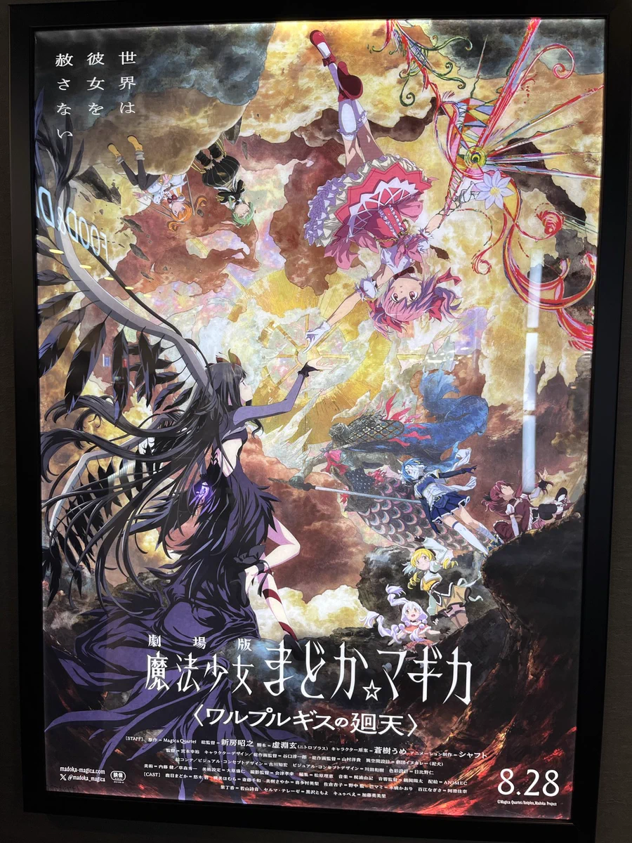 活動歴および当時の関連ビジュアル記録