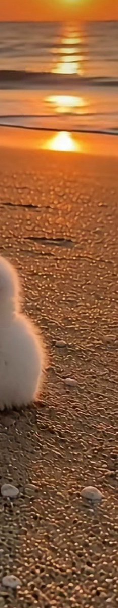 AnimalsWorld191's tweet photo. https://t.co/CnXf7ygGa8