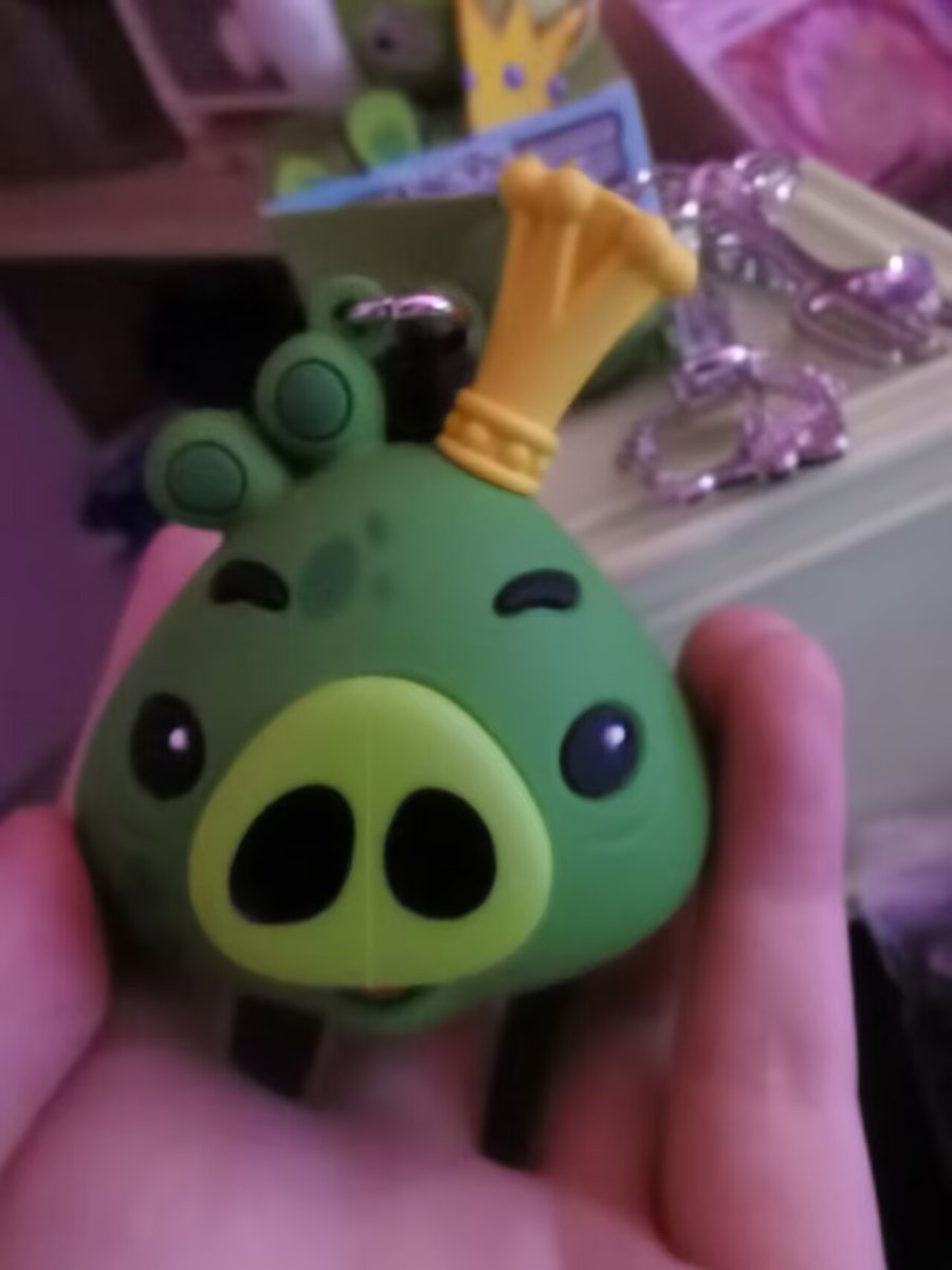 Devil_Pig_2014's tweet photo. Oh oh oh oh!!!! smooth cheeks, I love you so much, I can't believe you actually came to see me😭😭😭#Angrybirds https://t.co/WtWTOLQuxx