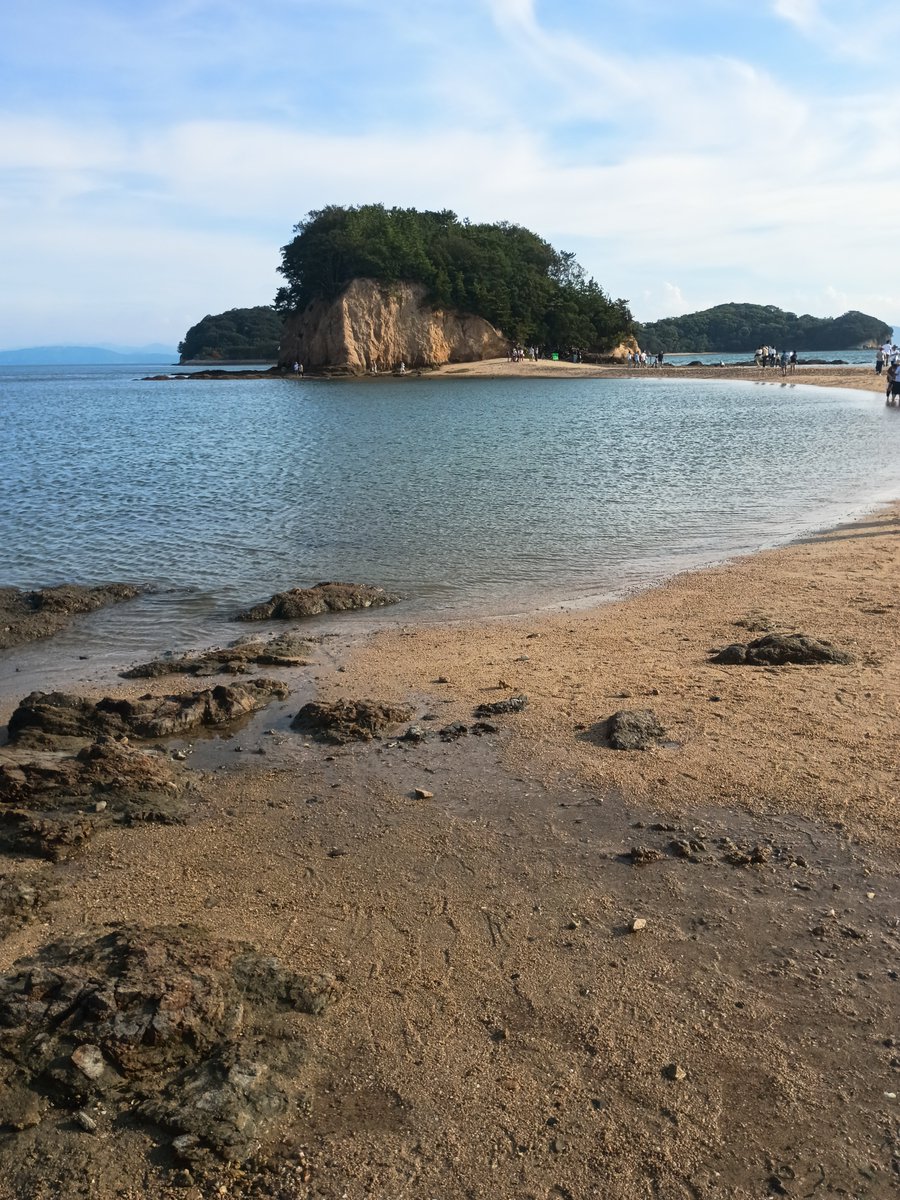 hirohirobee tweet picture