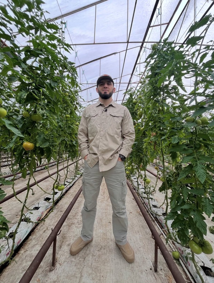 imstilljohn's tweet photo. 🍅 ㅇ https://t.co/xtP70XQvqH