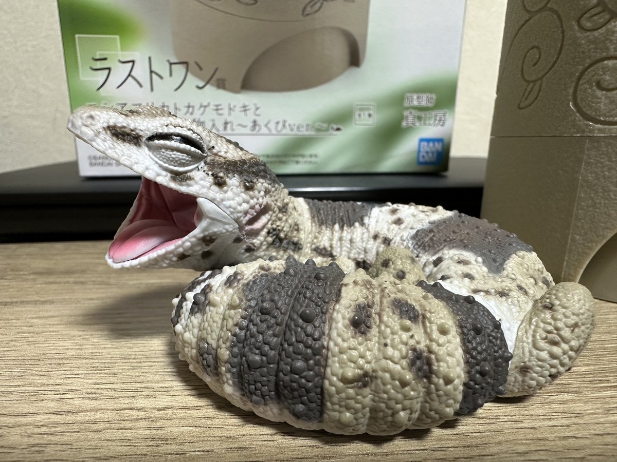 seiku_08's tweet photo. かわいすぎる仕事にならん🤤✨ https://t.co/yOoJZXjXrJ