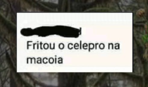 lunnanixx's tweet photo. Fritei o celepro na macoia https://t.co/uwsHQS8UtN