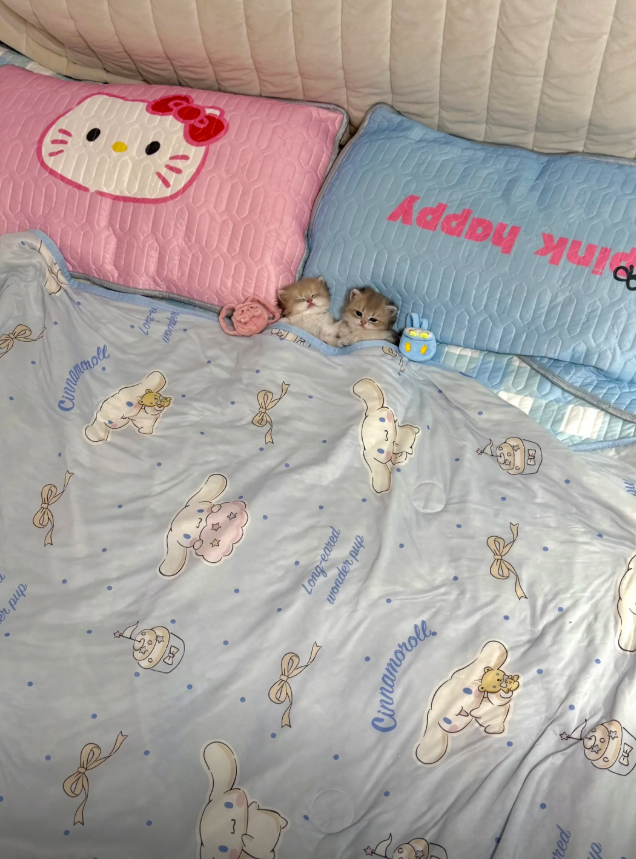 culKitten's tweet photo. https://t.co/HEPpuY7QNc