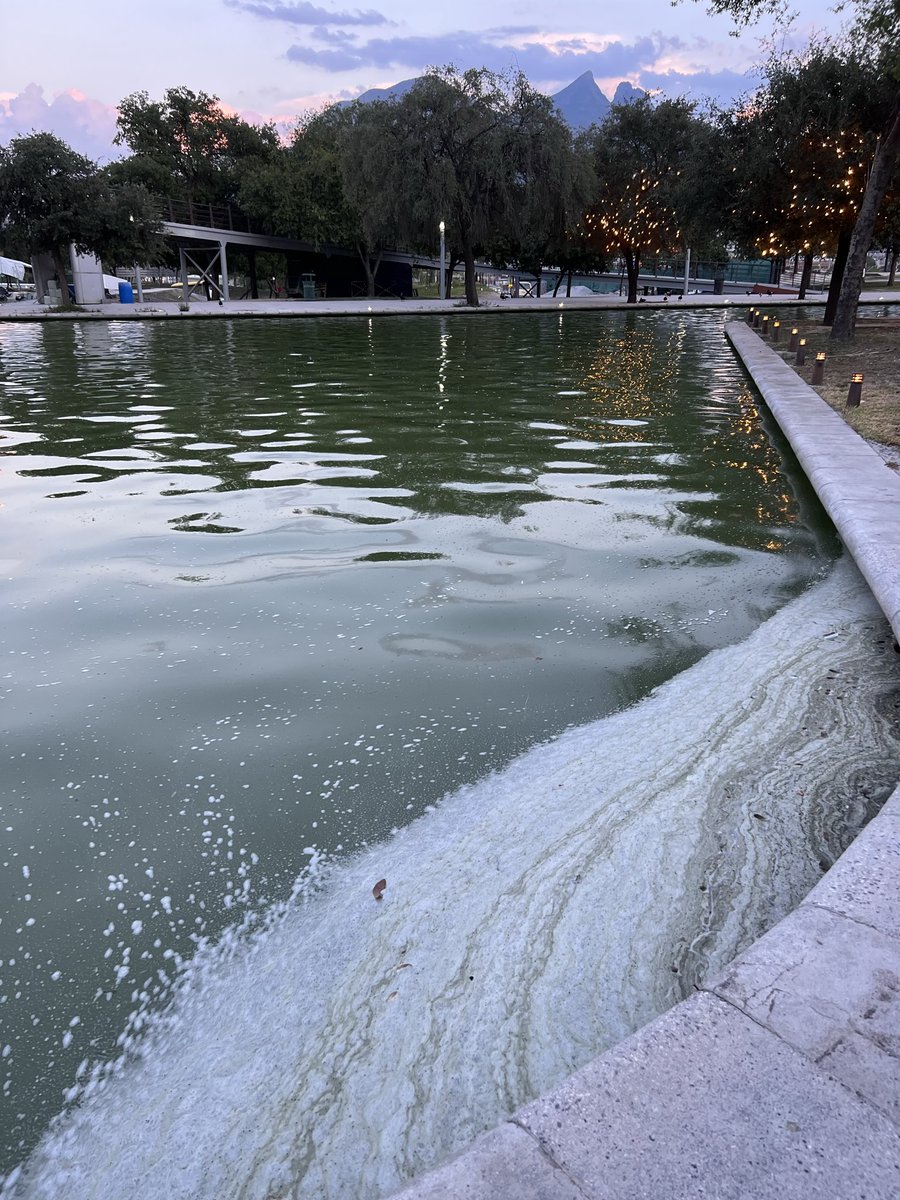 MarioMezura's tweet photo. 🌅 Lo bonito y lo feo de Fundidora este 28/08/2026.
Un atardecer espectacular… y, a unos pasos, el agua del Paseo Santa Lucía en condiciones que dejan mucho que desear. 😕
#Fundidora #PaseoSantaLucía #Monterrey @nuevoleon @mtygob https://t.co/f5EuyRrmy6