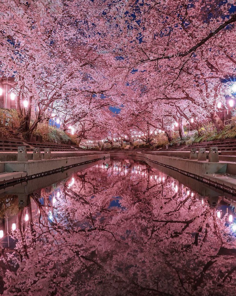 viewsoff's tweet photo. Japan 🇯🇵 https://t.co/AwBEzCEZAB