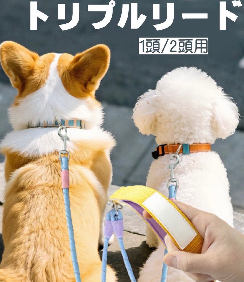 onebloom2026's tweet photo. 今週の６勤も今日でラストです✨

ワンちゃん🐶飼ってる方とのワンちゃんトーク＆写真見るだけで癒されてます♡笑
昨日見せてもらった🐕の写真もめちゃくちゃ可愛かったー😍
次飼うなら２匹飼いしたい夢が日々膨らみドッグラン付の🏠まで妄想してます🤣笑

今日もラストまでいます♡ https://t.co/EDlenAk8CC