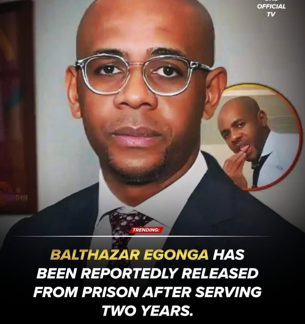 Diamond0lryt's tweet photo. Balthazar Egonga the head of national agency for financial investigation in Equator guinea. His father a political &amp; nephew president Teodoro. The Police arrested him &amp; find 4000 videos tape of him fucking half of the woman in his country. the court didn't see any wrong doing. https://t.co/U6iN8JOfDy