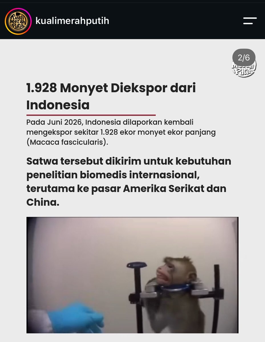 awaaannnn__'s tweet photo. nasib hewan di indonesia:
- habitatnya dibakar
- makanannya dikorupsi
- hewannya di ekspor untuk kebutuhan penelitian medis

bahkan hewan aja ga selamat di negeri ini, dijadiian bahan uji coba, tempat tinggalnya dirusuhi, dan dibuat kelaparan. https://t.co/8Ef0SrkijZ