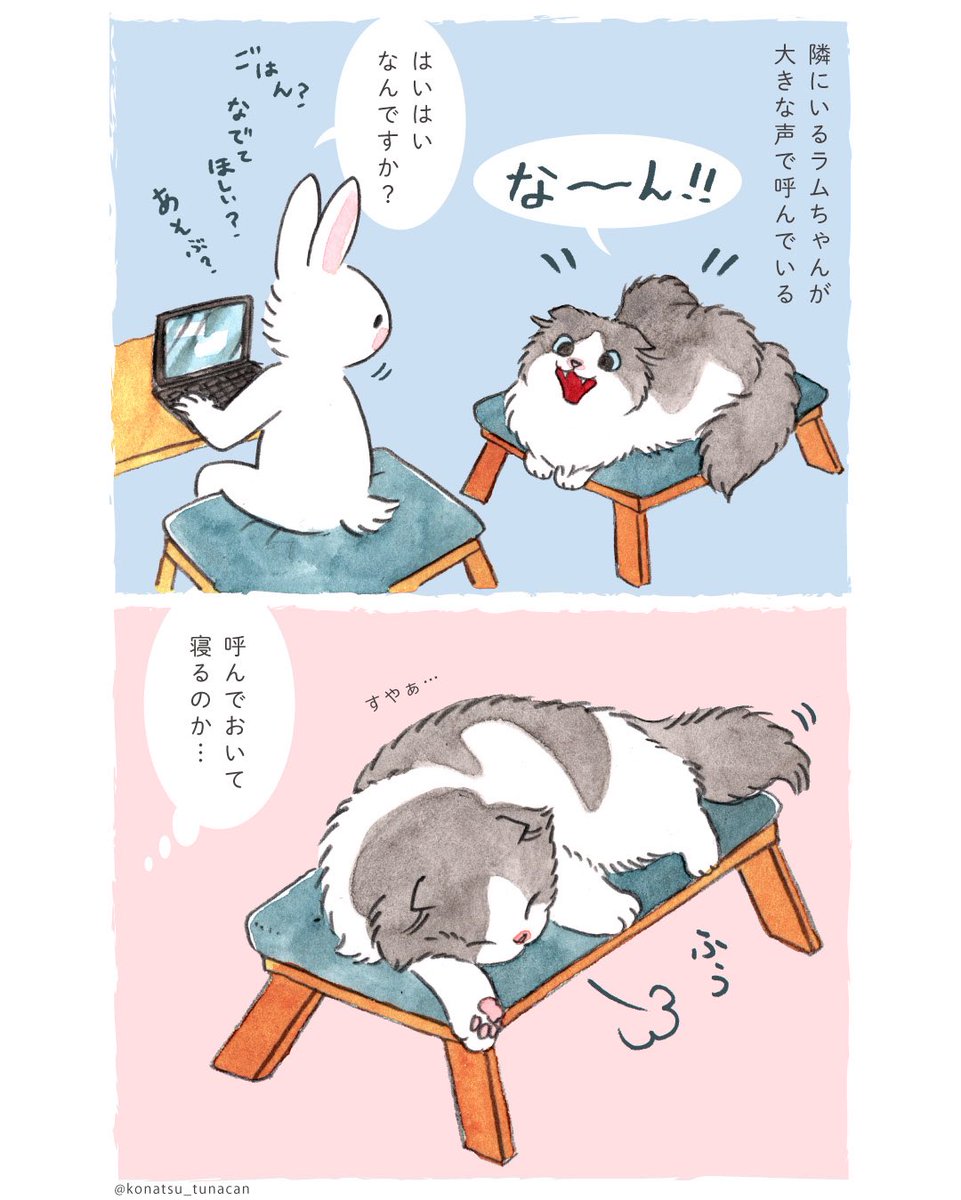 konatsu_tunacan's tweet photo. 【猫のラムちゃん日記】1/2
わがままでよく鳴くラムちゃんです https://t.co/J4gXw5xGfR