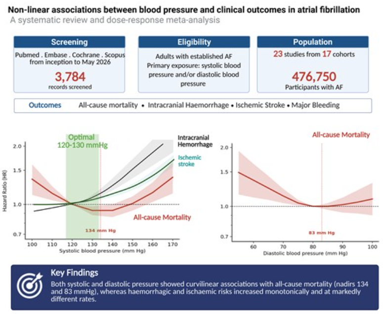 PrashSanders's tweet photo. How low should we go with BP in atrial fibrillation?

Our #ESC2026 study, simultaneously published in @EuropaceEiC , suggests a “sweet spot”:

🔹 SBP ~120–130 mmHg
🔹 Avoid DBP <75–80 mmHg
🔹 Lower is not always better
In AF, both numbers matter.

https://t.co/c8DOEttImC

#AtrialFibrillation #Hypertension

@ElnazShmohamadi @melissaemm1 @Elliott_AD @JonathanAriya