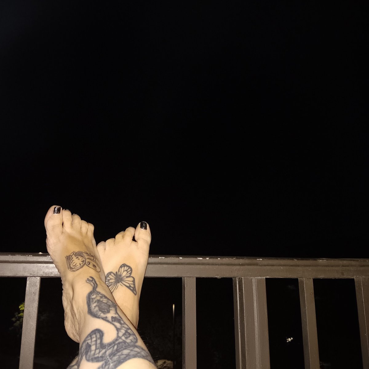 Exotic355968's tweet photo. Feet up and enjoying this breeze. #feet  #outside  #peace https://t.co/JsIkVvmVj2