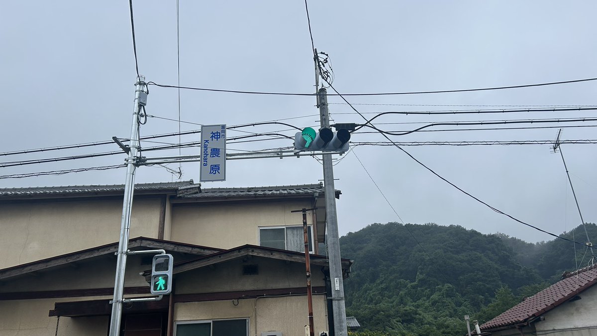 43E231zyouban's tweet photo. #じょーばんの信号探し 
【特　大　悲　報】
富岡市「神農原」交差点の群濃オール300φ筒庇灯器、ED1221Aへ世代交代し天に向か��ていたことを今日、確認しました･･･

これによって群濃オール300φの通常塗装および筒庇が絶滅し、高崎駅東口にある残り2基だけとなりました。 https://t.co/TLFWcyUdNk