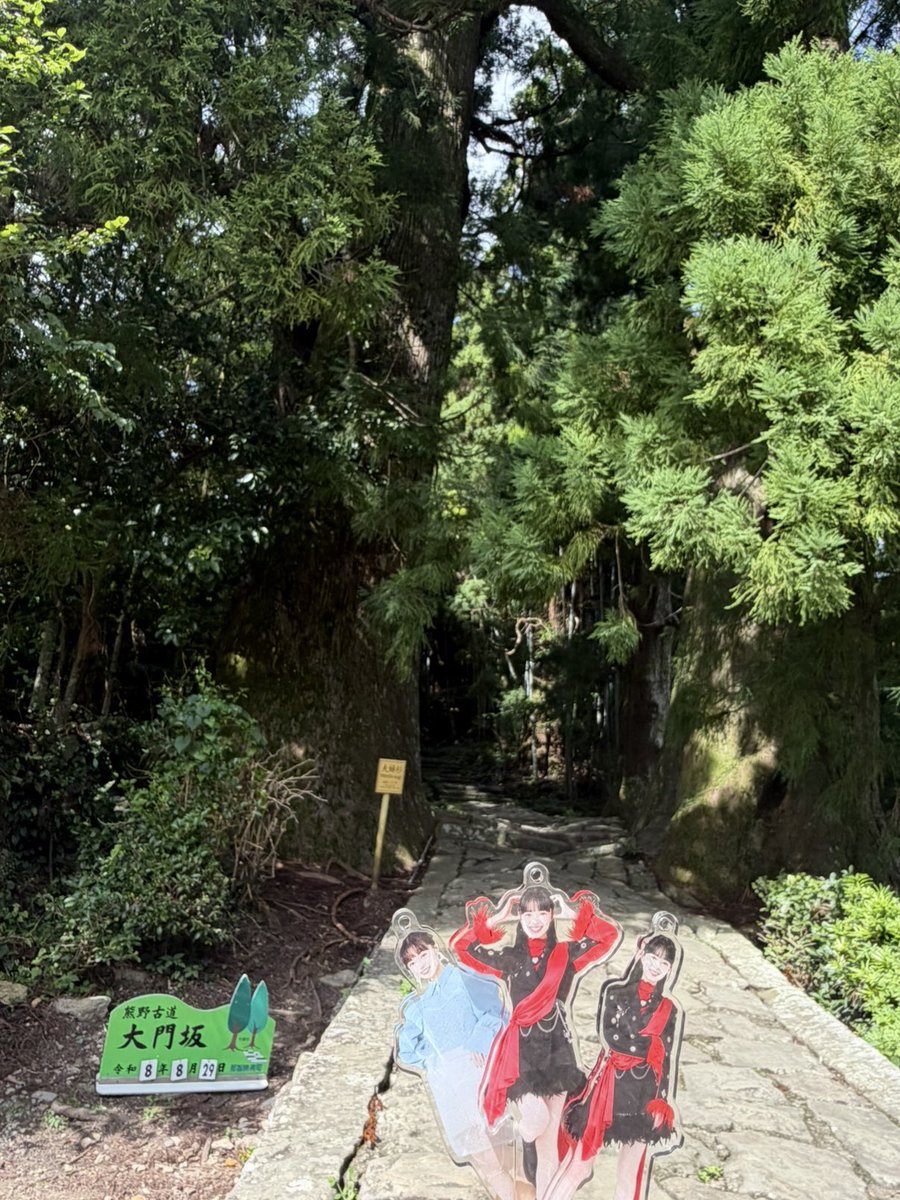 penguin_kun2's tweet photo. 日本三大名瀑の1つ
那智の滝へ行ってきた

大門坂から歩いて熊野那智大社へ
暑さでかなりきつかった…

飛瀧神社に入り那智の滝のそばへ
落差133mの滝の音とともに涼みました

#那智の滝 https://t.co/VkX9pN7Znt