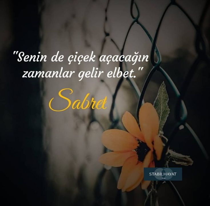 adatek57's tweet photo. Günün güzel ve keyifli geçmesi dileğiyle;
Herkese GÜNAYDIN... https://t.co/pW42zTKT8w