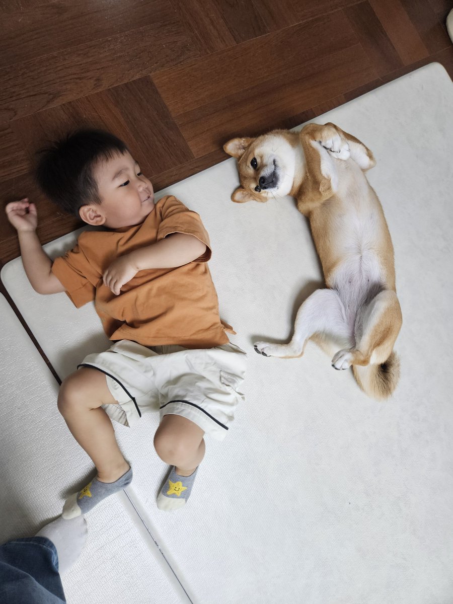 twelve05cm's tweet photo. new photo of tori with soobin's baby nephew 😭😭 https://t.co/BuOlkHy3Cs