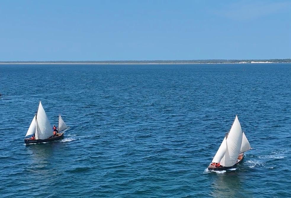 NCCPondicherry's tweet photo. #Swarnum🌊⛵ Battling the waves, chasing the horizon—we’ve made landfall at Dhanushkodi! The expedition touches the legendary shores where India meets the ocean. On to new horizons ⚓🇮🇳
Most enterprising Naval unit 5(TN) NU Cuddalore under GP HQ Puducherry .

@shipmin_india @PMOIndia @LGov_Puducherry @HQ_DG_NCC @NCCDte_TNPAN @vatsvirendra1 @ashishrams

#MaritimeTransformation #SagarSeSamriddhi #JalmargSeVikas #MaritimeIndia #PortsForProsperity #ViksitBharat #BlueEconomy #KadalkkuPovom #Puducherry #NCC #SaveOurOceans