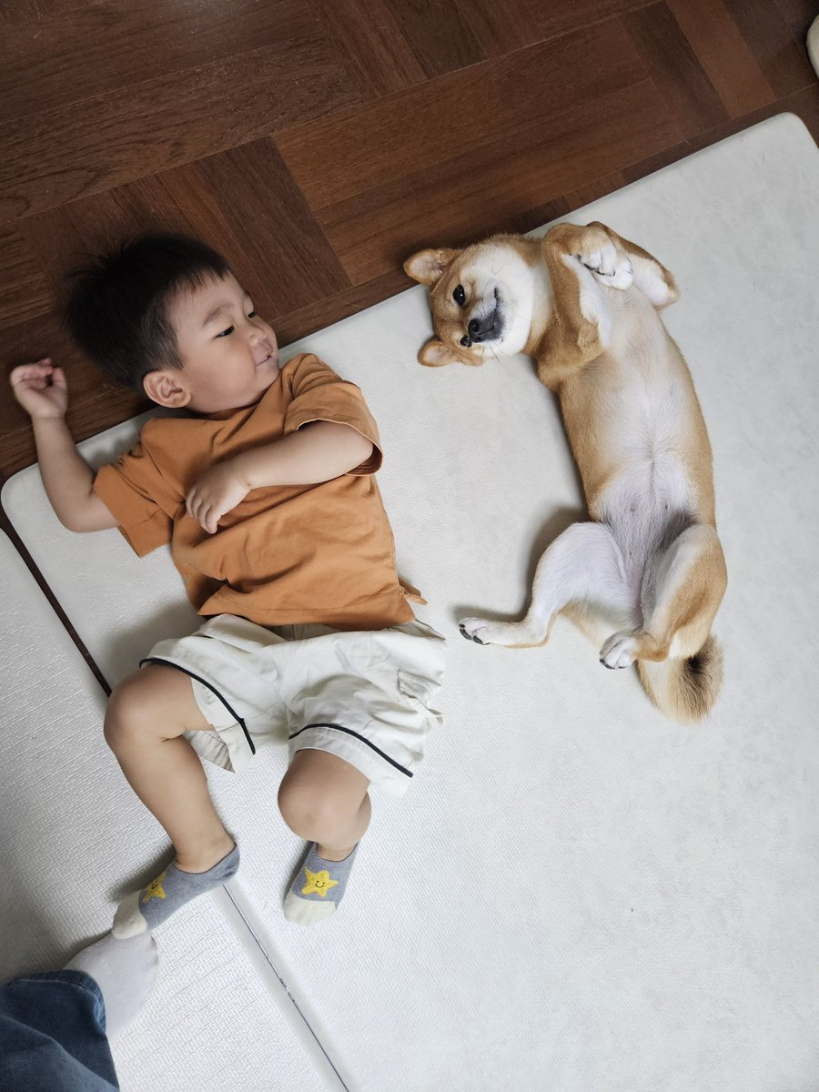 translatingTXT's tweet photo. [260829] weverse dm 🐰💬

🐰 this is a picture that was sent to my family gc
🐰 baby and tori laying down together hahaha
🐰 they say that raising a baby and puppy together is really good for your emotions, don’t they?
🐰 apparently my nephews love tori a lot
🐰 apparently the three of them, my two nephews and tori, always play on the bed
🐰 i think about how it must be really convenient for my older sister that they tire each other out hahaha
🐰 just looking at the pictures brings me healing