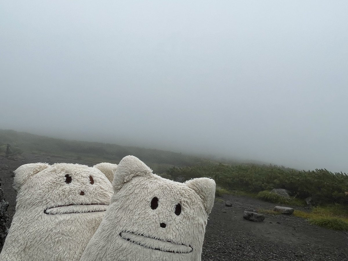 0903holic's tweet photo. 羅臼平まで行けたけど、羅臼岳は強風でガイドの判断で取り止め。
再挑戦するぞ！ https://t.co/zRP5nkhdMr