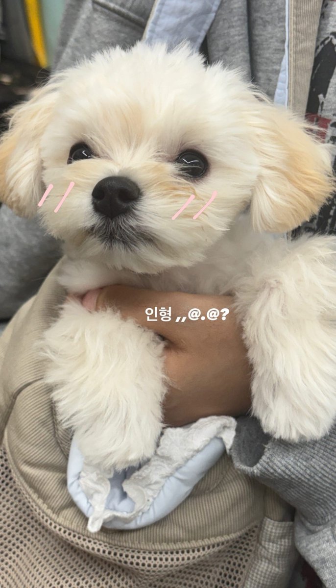 winteraphy's tweet photo. New photos of Pponyo from aespa's fashion stylist, Misun 🥰 https://t.co/EqpiwySG9Z